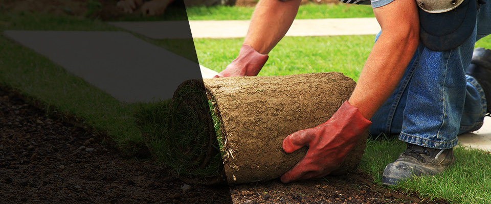 United States Landscapers